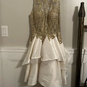 Camille la vie illusion and silk short dress